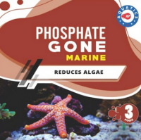 RP Marine Phosphate Gone